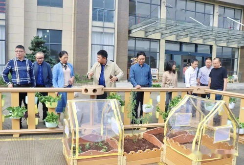 貝瑪教育 麗水市學(xué)前教育專家實地參觀指導(dǎo)，共促教育發(fā)展