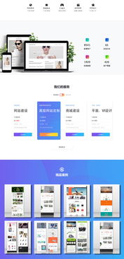 太原軟件開發(fā)服務(wù)解析 瀚海網(wǎng)絡(luò)科技與一品威客網(wǎng)的角色